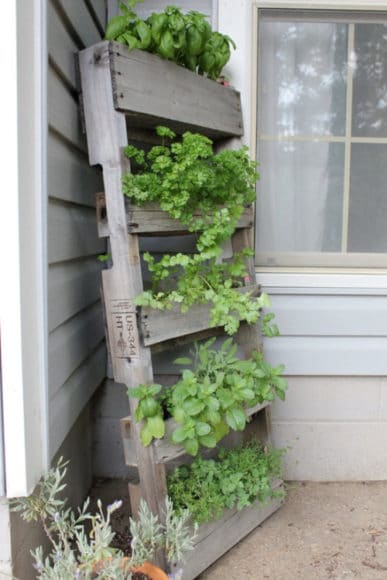 55 ideias para o teu jardim com paletes de madeira Cerca Ideas Madeira