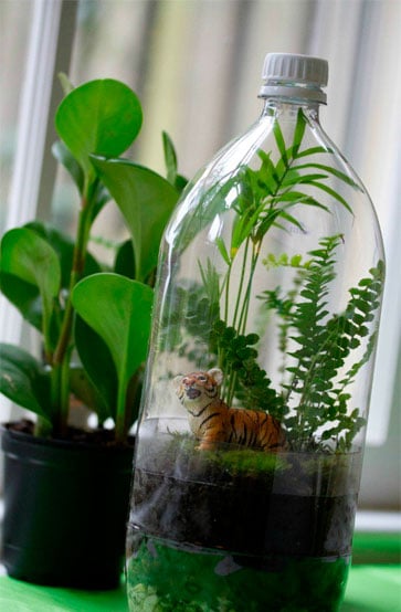 24 Ideias geniais de reciclagem de garrafas pet Depilador Aparador Feminino ~ 24 Ideias geniais de reciclagem de garrafas pet