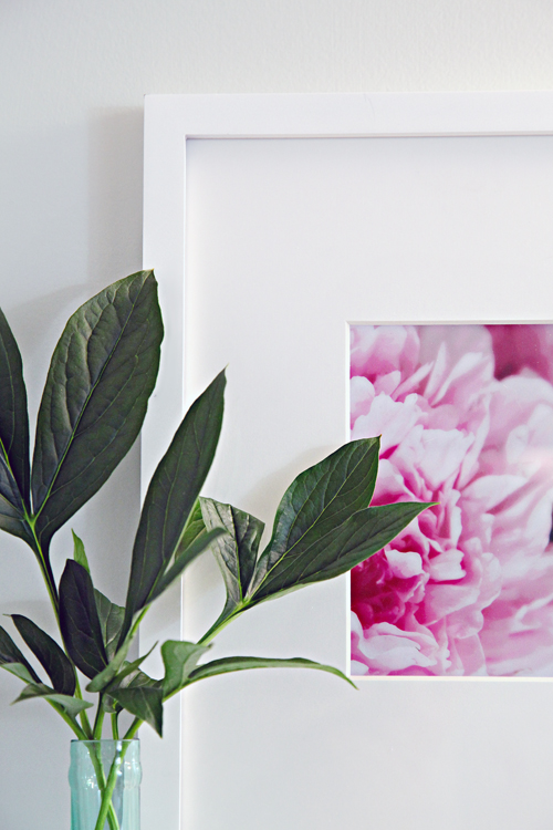 decoracao banheiro faca voce mesmo – Doitricom -> Faca Você Mesmo Decoracao De Banheiro decoracao banheiro faca voce mesmo – Doitricom -> Faca Você Mesmo Decoracao De Banheiro