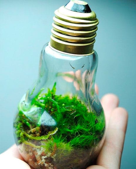 Reciclar-lampadas-velhas-16